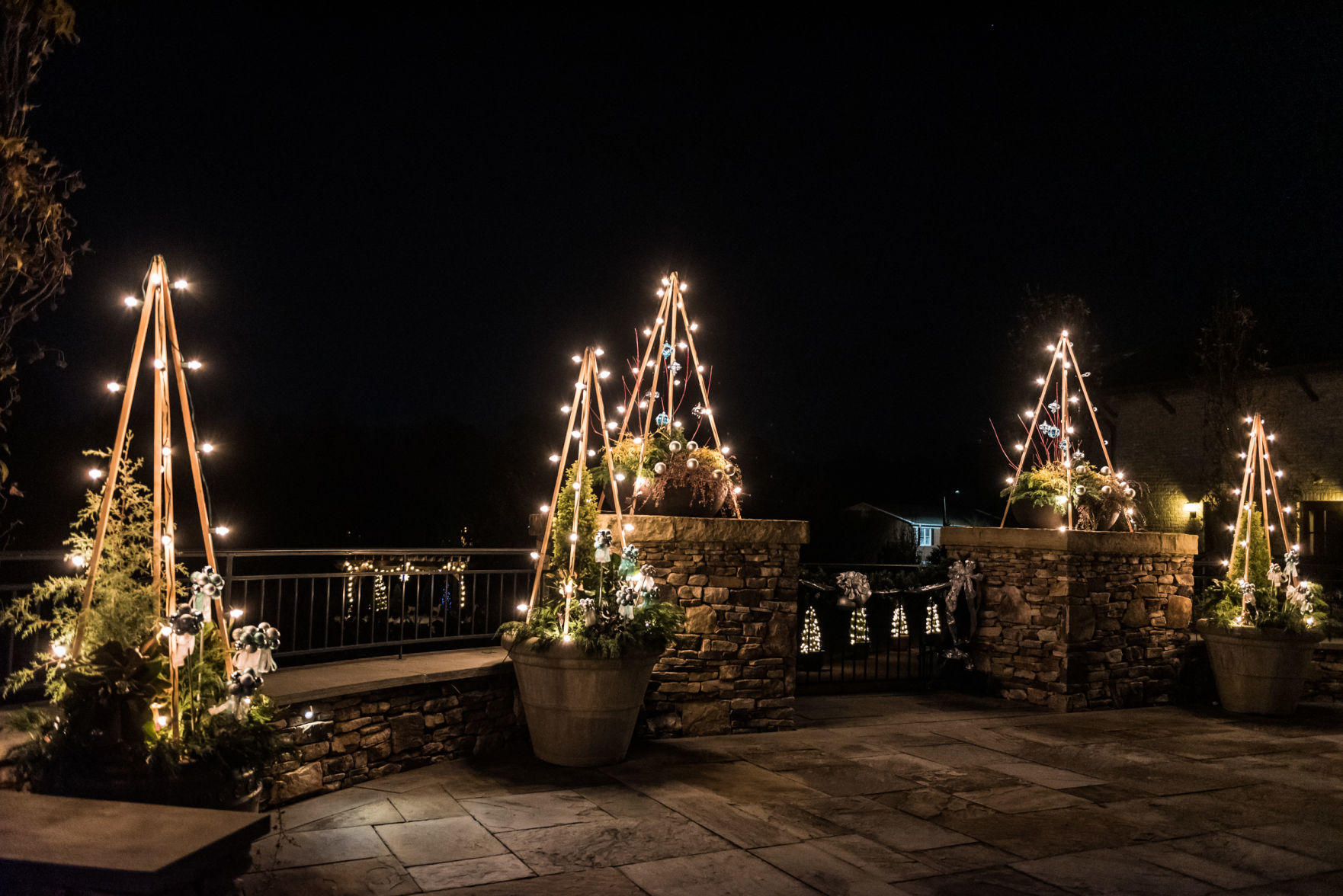 Ciener Garden Tulip Holiday Blooms Light Display